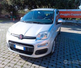 FIAT PANDA FIAT PANDA 1.2 EASY PERFETTA