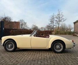 MGA 1500, 1956 — MG — MARKTPLAATS