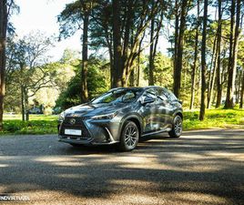 LEXUS NX 350H EXECUTIVE+