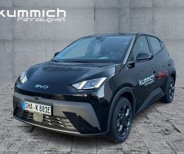 BYD DOLPHIN SURF BOOST