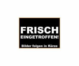 2.5CRDI VGT EX/AUTOMATIK/AHK 3.5T/1.HAND