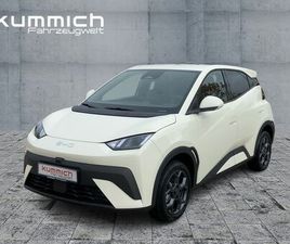 BYD DOLPHIN SURF BOOST