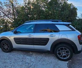 C4 CACTUS