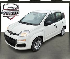 FIAT PANDA PANDINA ICON