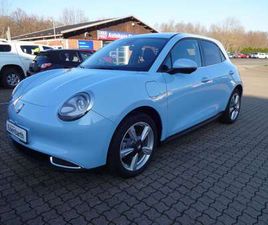 ORA FUNKY CAT ORA FUNKY CAT 300 PRO