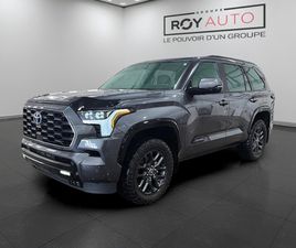 PLATINUM 4WD | APPLE | ANDROID | TOIT PANORAM