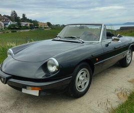 ALFA ROMEO SPIDER