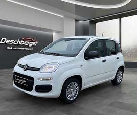 PANDINA FIREFLY HYBRID 65 ICON