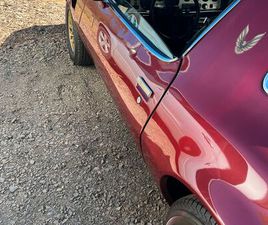 PONTIAC TRANS AM BJ 1979 6,2L V8 FRAME-OFF RESTAURIERT MUSCLE CAR
