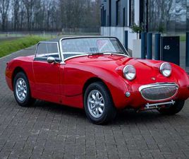 AUSTIN HEALEY SPRITE FROGEYE
