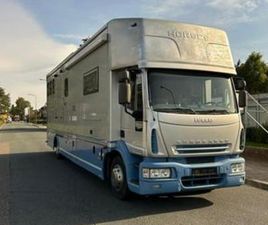 IVECO EUROCARGO IVECO STX PAARDEVRACHTWAGEN VOOR 5 PAARDEN P — VRACHTWAGENS — MARKTPLAATS