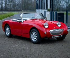 AUSTIN HEALEY SPRITE FROGEYE