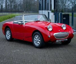 AUSTIN HEALEY SPRITE FROGEYE