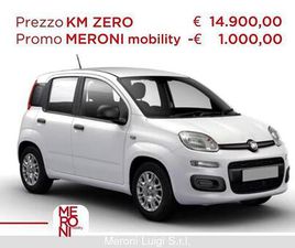 1.0 FIREFLY S&S HYBRID ICON