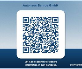 FORD KUGA 2.5 DURATEC FHEV ST-LINE X SCHIEBEDACH 19