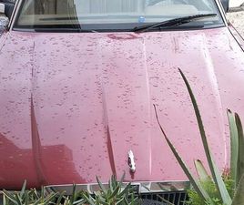 ASI CRS AUTO STORICA