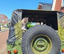 VOLVO LAPLANDER VOLVO LAPLANDER 1962 GROEN — VOLVO — MARKTPLAATS