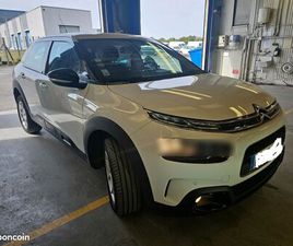 C4 CACTUS SHINE 110 CH