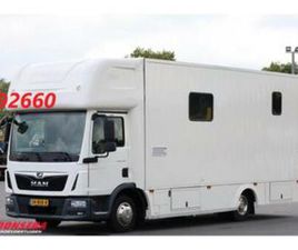 MAN TGL 8.190 ROBRISE HORSETRUCK + CAMPER CAMERA 61.047 KM! — VRACHTWAGENS — MARKTPLAATS