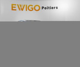 2.0 TFSI 290CH DSG7 GTI