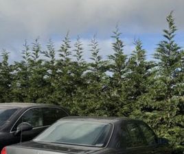 MERCEDES CLASSE C C 180