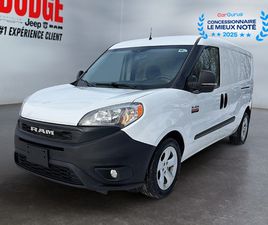 ST FOURGON UTILITAIRE, PORTES ARRIÈRES VITRÉE