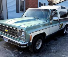 1978 CHEVROLET C20 FOR SALE