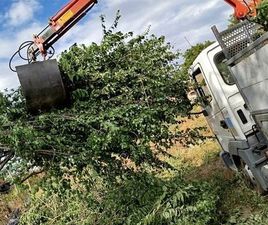 NISSAN ATLEON NISSAN ATLEON 110 NICOLAE BALCESCU