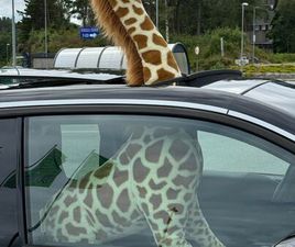 FULLY CHARGED 120 AH 170 HK HARMAN/KARDON SOLTAK SKINN