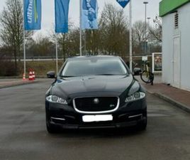 JAGUAR XJ LUXURY 3.0 V6 DIESEL S LUXURY