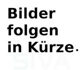 TOYOTA YARIS 1.5 HYBRID - TEAM DEUTSCHLAND - M. WINTERRÄDERN