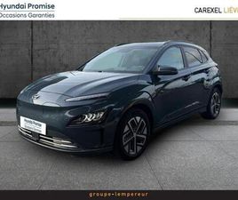 ELECTRIC 39KWH - 136CH EXECUTIVE