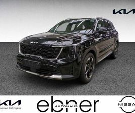 1.6 T-GDI HYBRID 4WD PLATINUM | NAVI | S