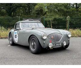 AUSTIN HEALEY 100 / M BN1 FIA
