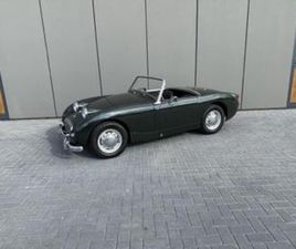 AUSTIN HEALEY SPRITE AUSTIN HEALEY SPRITE ( KIKKEROOG ) — OLDTIMERS — MARKTPLAATS