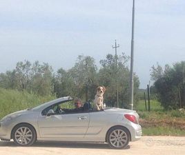 AUTOMOBILE PEUGEOT 207 CC CABRIO