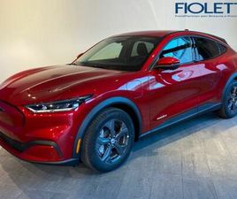 ELETTRICO STANDARD 269CV