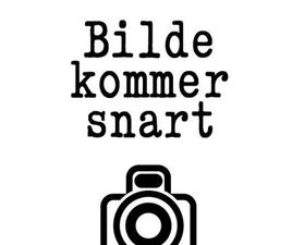 POLESTAR POLESTAR 3 LR DUAL MOTOR PLUS PILOT