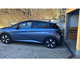 OTHER BYD DOLPHIN DESIGNS