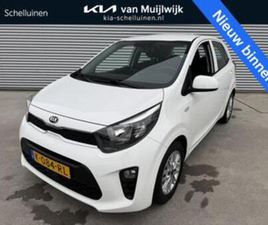KIA PICANTO 1.0 DPI DYNAMICLINE NW GELEVERD | CRUISE | CAMER — KIA — MARKTPLAATS
