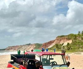 VOLKSWAGEN BUGGY VOLKSWAGEN BUGGY 1.6 8V GASOLINA 2P MANUAL 1989