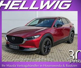 2.0L HOMURA NAVI GANZJAHRESREIFEN 1.HAND