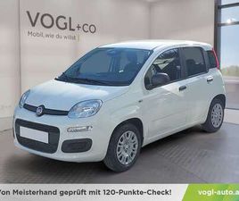 FIREFLY HYBRID 65 ICON