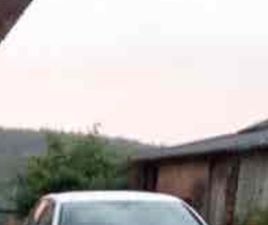 VOLKSWAGEN - GOLF SPORTSVAN