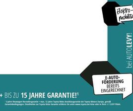 TEAMPLAYER INKL. 6.000 E-FÖRDERUNG