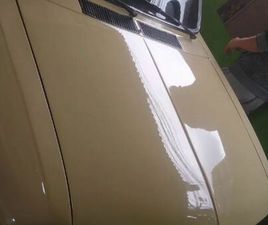 VOLKSWAGEN BRASILIA 1600 2P 1975