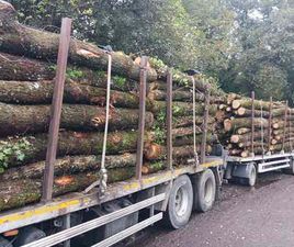 CAMION FORESTAL RENAULT - PREMIUM 420 D