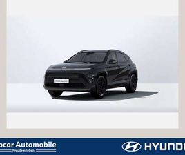 SELECT MY26 EV 49KWH 135PS EFF.-PAKET