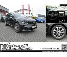2.2 CRDI DCT8 AWD PLATINUM / AHK / 1. HA