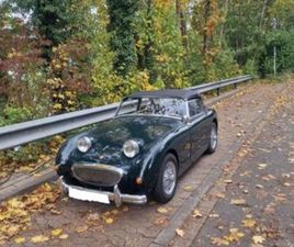 AUSTIN HEALEY SPRITE OTHER AUSTIN HEALEY SPRITE MARK1 -FROSCH-FROSCHA...